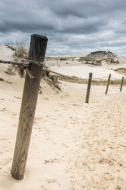 hareketli kumulları