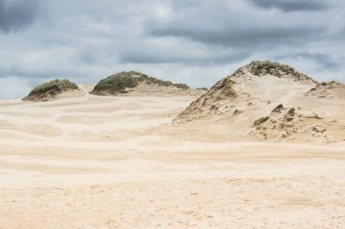 hareketli kumulları