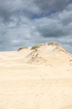 hareketli kumulları