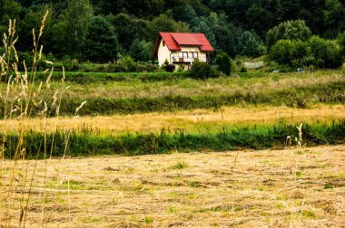 küçük bir yazlık