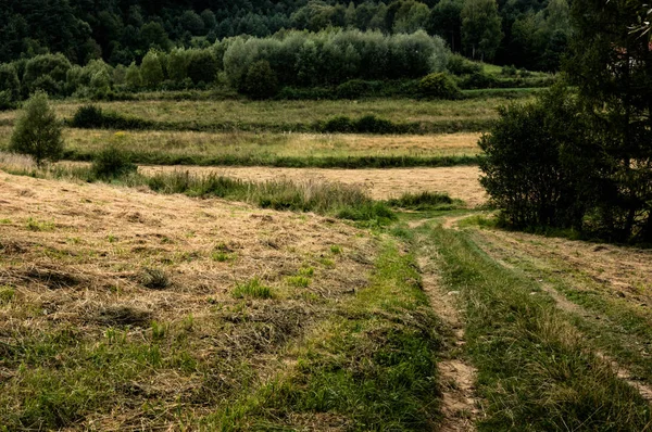 Boş bir yol — Stok fotoğraf