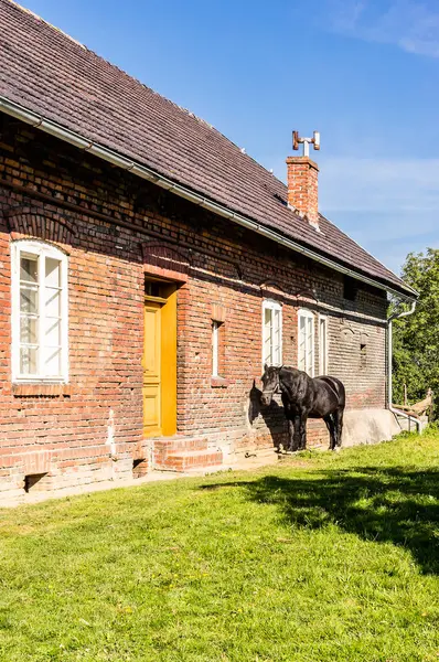 Casa e cavalo — Fotografia de Stock