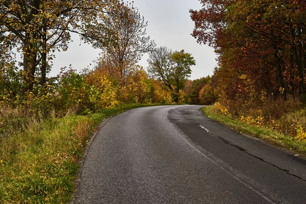 Strada Sterrata Stagione Autunnale — Foto Stock