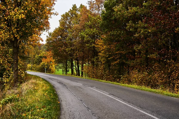 Turning Road Autumn Season — Stock Photo, Image