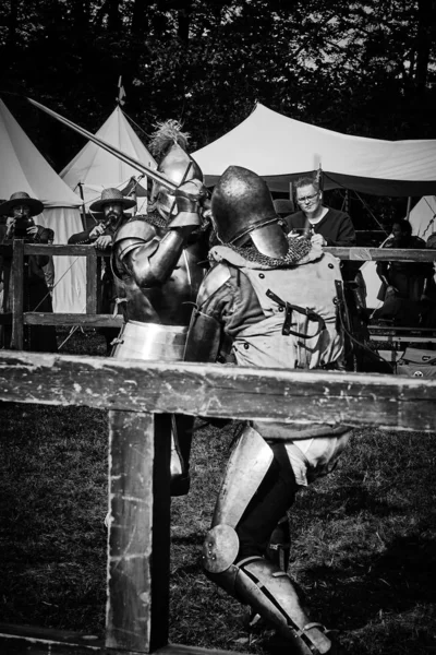 Un ornamento de caballeros medievales — Foto de Stock