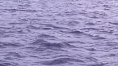 Dalgalar ve su yüzeyinde ripples