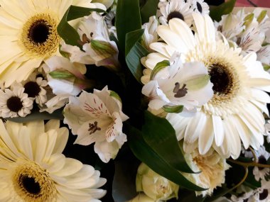 Beyaz gerbera ve lilyum ile çiçek arka plan