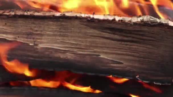 Abrir Fogo Lenha Com Chamas Fumaça Close Imagens Naturais — Vídeo de Stock