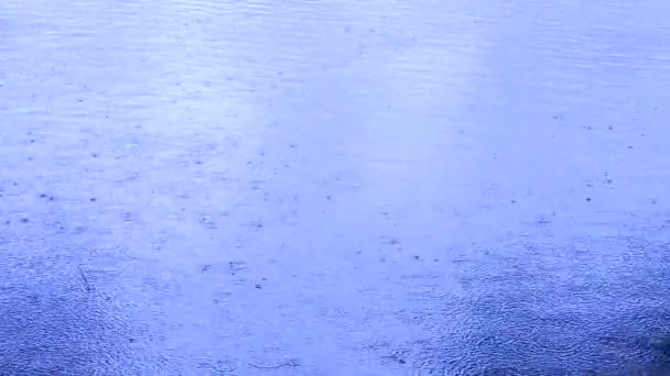 Дождь Озере Капли Дождя Падающие Спокойную Поверхность Воды Природные Кадры — стоковое видео