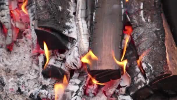 篝火特写的烧焦的柴火和柴火 — 图库视频影像