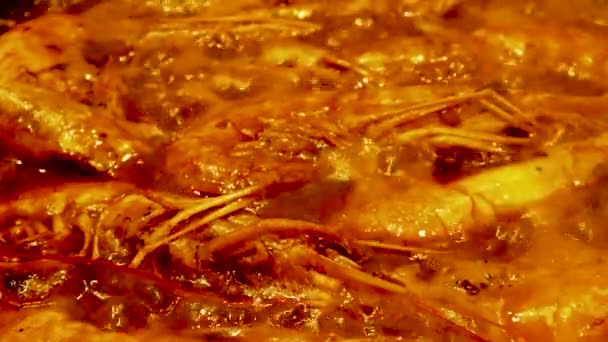 Апетитні Смачні Лангоустини Смажені Великій Сковороді Гарячому Гострому Соусі Крупним — стокове відео