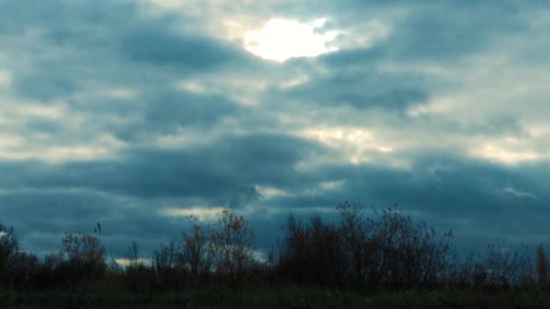 Árvores Silhuetas Balançando Vento Forte Contra Movimento Pesado Azul Nuvens — Vídeo de Stock