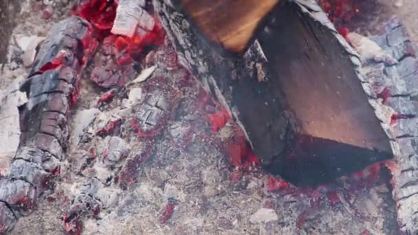 Charred Firewood Embers Bonfire Closeup — Stock Video