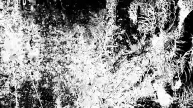 Söğüt ağacından uçan kabarık tüylü bulut, kabartma efektli siyah ve beyaz yüksek kontrast videosu