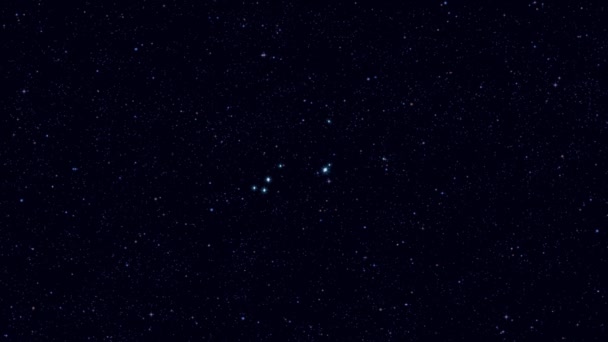 Constelația Canis Minor Câinele Mic Zoom Treptat Imaginea Rotativă Stele — Videoclip de stoc