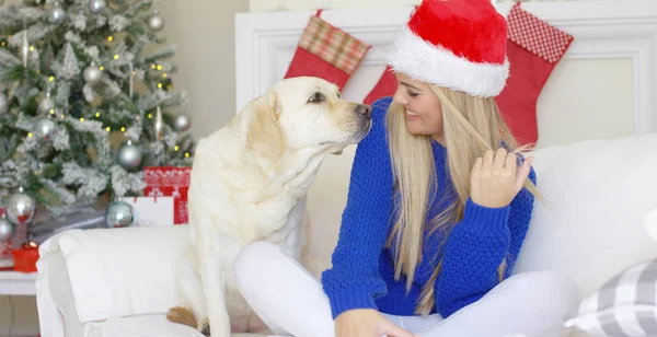 Vánoční dívka s kamarádkou psa na gauči — Stock fotografie
