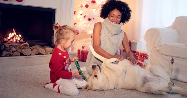 Mama i córka w swetry grać z pies — Zdjęcie stockowe