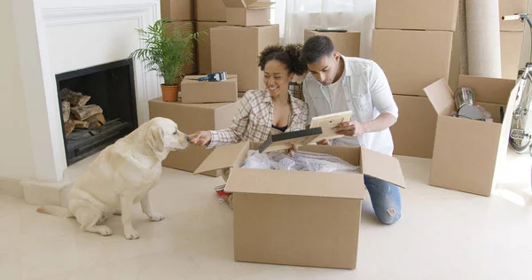 Mujer joven acariciando a su perro mascota —  Fotos de Stock