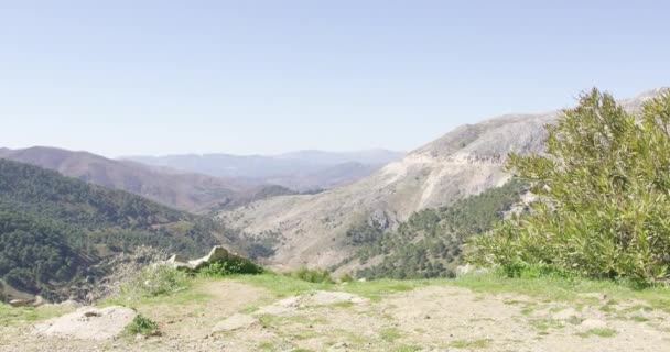 Crop view of loving couple hiking — Stock Video