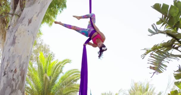 Exotic acrobatic dancer working out on silk ribbon — Stock Video