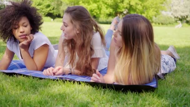 Vackra kvinnor kommunicerar på gräs — Stockvideo