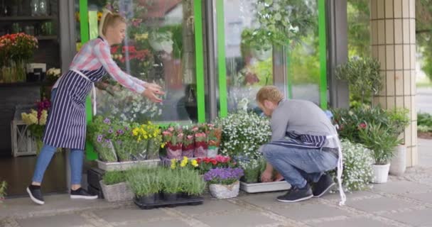 Colaboradores cuidando das flores — Vídeo de Stock