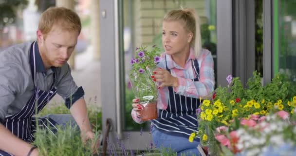 Mujer y hombre trabajando en floristería — Vídeo de stock