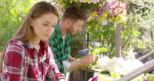 Menschen, die mit Blumen arbeiten — Stockvideo