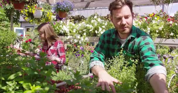 Muž a žena setí rostlin — Stock video
