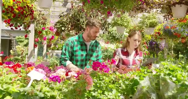 Two florists in garden — Stock Video