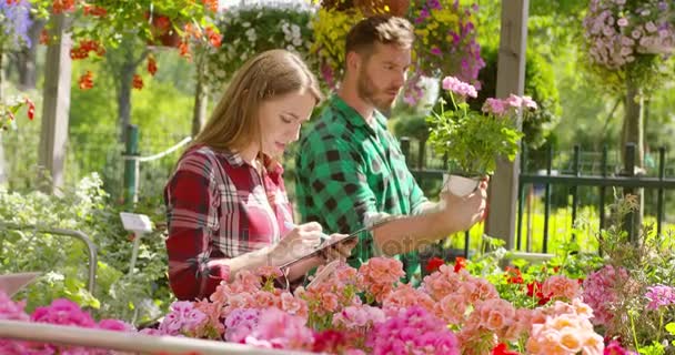 Hombre y mujer trabajando con flores de jardín — Vídeos de Stock