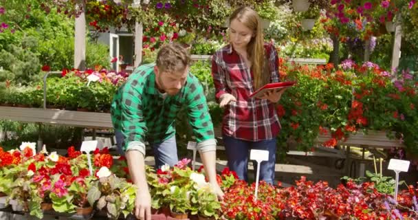Gente trabajando juntos en el jardín — Vídeo de stock