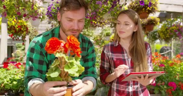 Pessoas assistindo flores no jardim — Vídeo de Stock