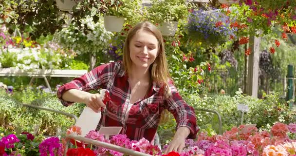 Жінка розбризкує воду на квіти — стокове відео