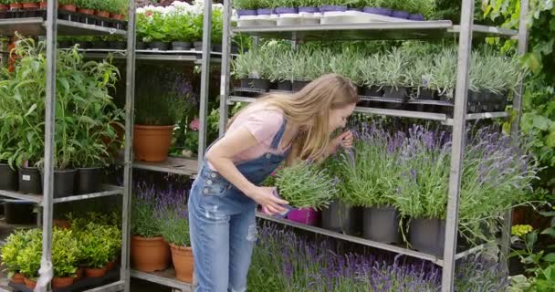 Mulher em stand com flores — Vídeo de Stock