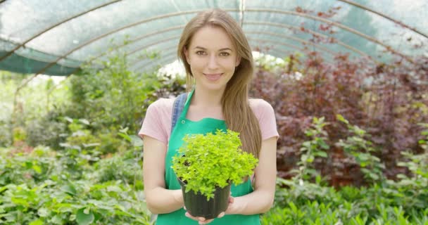 Vrouw met potplant — Stockvideo