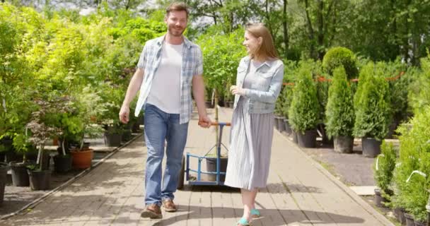 Gardeners carrying potted tree — Stock Video
