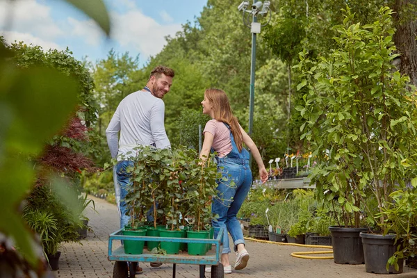 Jardiniers avec chariot — Photo