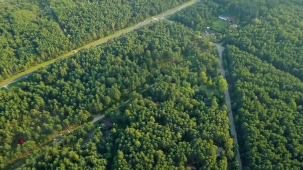 在绿色的树林里的道路 — 图库视频影像