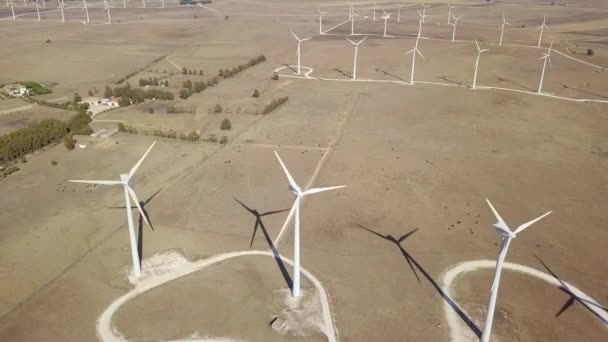 Termelő szélmalmok villamosenergia-sivatagban — Stock videók