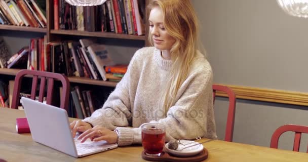 Mujer atractiva usando el ordenador portátil en la biblioteca — Vídeo de stock