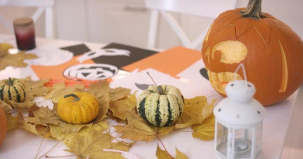 Pumpkins on leaves — Stock Video