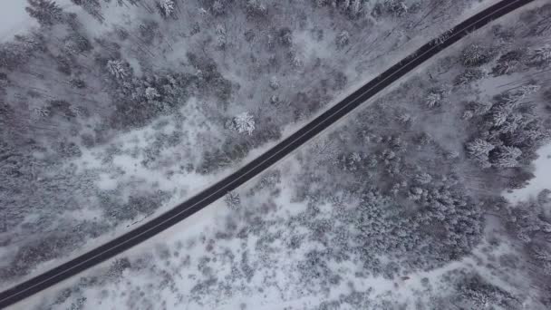 Aerial view of road in snowy woods — Stock Video