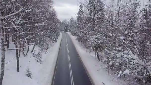 Asphaltierte Straße zwischen schneebedeckten Bäumen — Stockvideo