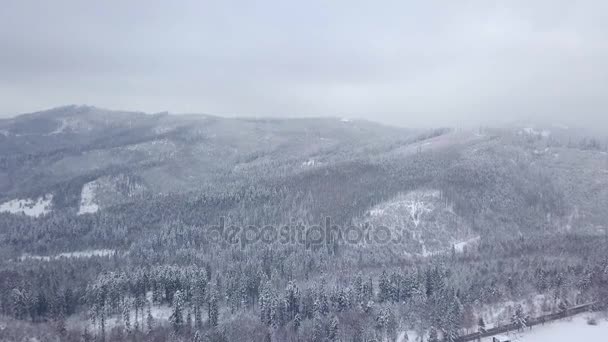 雪霾和霜冻中的山脉 — 图库视频影像