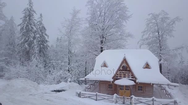 Avlägsna hus i snön i skogen — Stockvideo