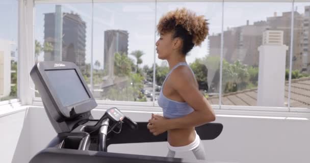 Entrenamiento seguro de la mujer en el gimnasio — Vídeos de Stock