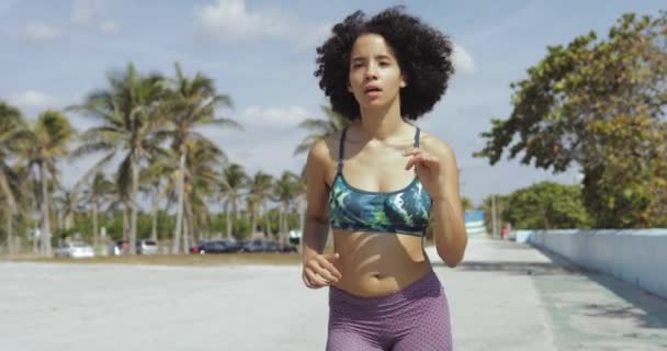 Svart passar tjej jogging på tropiska waterfront — Stockvideo