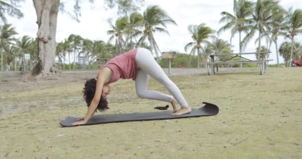 Жінка на килимку в парку практикує йогу — стокове відео