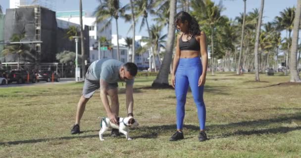 Pareja deportiva con perro en el parque — Vídeo de stock
